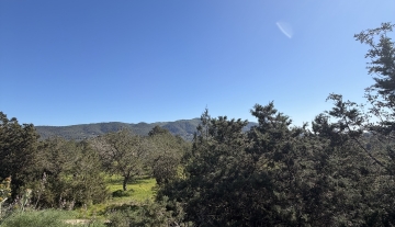 Resa Estates Finca san Miguel for sale offline 2.jpeg